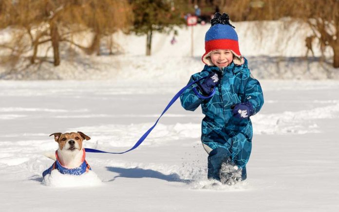 Gadgets-and-Devices-to-Simplify-Your-Life-This-Winter Gadgets and Devices to Simplify Your Life This Winter