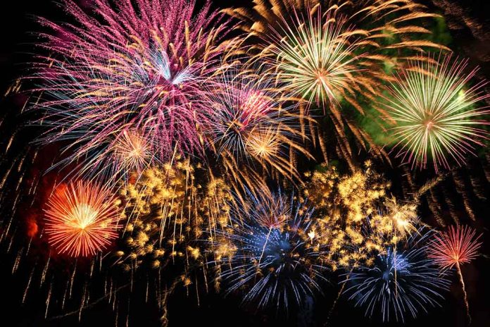 How-to-Survive-Fireworks How to Help Dogs and Humans This Holiday Weekend