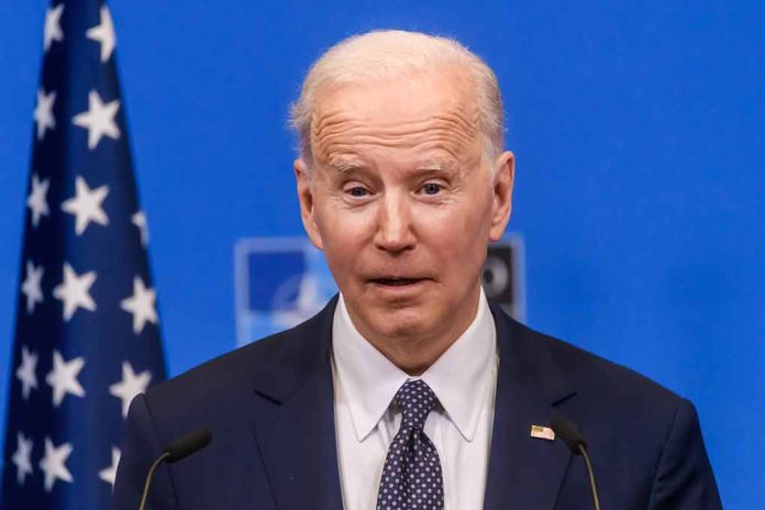 Forget 'Dark Brandon,' Former Obama Officials Calls for 'Basement Biden' to Return