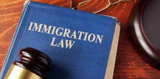 Blue book titled Immigration Law with gavel nearby