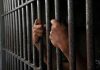 Hands gripping prison cell bars tightly