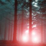 Mysterious glowing lights in foggy forest setting
