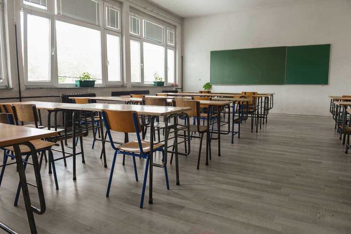 487861393 school
