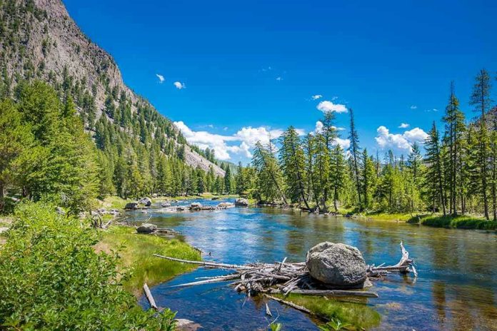 Mountain river landscape with trees and clear blue sky