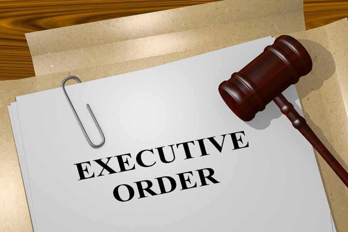 A gavel resting on a document labeled 'EXECUTIVE ORDER'