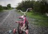 Parents Vanish! — Child Left to FEND FOR HIMSELF Pink childrens bike with training wheels on gravel path.