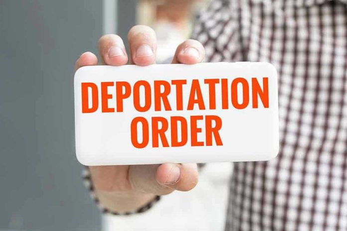 557935723 Hand holding sign with Deportation Order text.