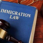 Data Shows ICE Raids are Nabbing the Wrong People Blue immigration law book with wooden gavel.
