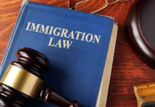 Data Shows ICE Raids are Nabbing the Wrong People Blue immigration law book with wooden gavel.