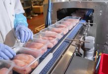 Restaurant Owners FURIOUS Over Plastic Ban In This State Packaged chicken breasts on a factory conveyor belt.