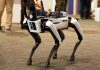 33 Days Behind Enemy Lines—Then This Robotic dog standing on indoor carpeted floor.
