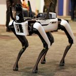 33 Days Behind Enemy Lines—Then This Robotic dog standing on indoor carpeted floor.