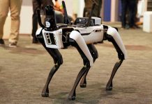 33 Days Behind Enemy Lines—Then This Robotic dog standing on indoor carpeted floor.