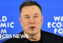 White House BLOCKS Musk’s TSA Rescue Plan White House BLOCKS Musk's TSA Rescue Plan