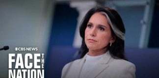 Gabbard’s 40% Purge Unleashes Establishment Fury Gabbard's 40% Purge Unleashes Establishment Fury