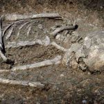 Holocaust Denialism Rising—Alarming Survey Results Excavated human skeleton partially embedded in soil