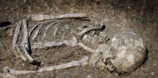 Holocaust Denialism Rising—Alarming Survey Results Excavated human skeleton partially embedded in soil