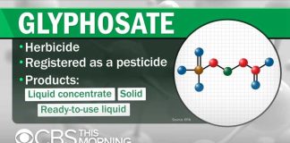 “Cancer” Pesticide Panic Hits Everyday Food “Cancer” Pesticide Panic Hits Everyday Food