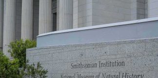 AMERICAN HISTORY Vanishes From America’s Museum! Smithsonian Institution museum exterior with engraved stone sign