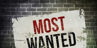 Ringleader Nailed — MOST WANTED Finally CAUGHT! A weathered poster displaying the words MOST WANTED on a brick wall