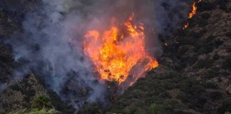 Mayor Jailed For ARSON! Wildfire burning on a hillside near homes
