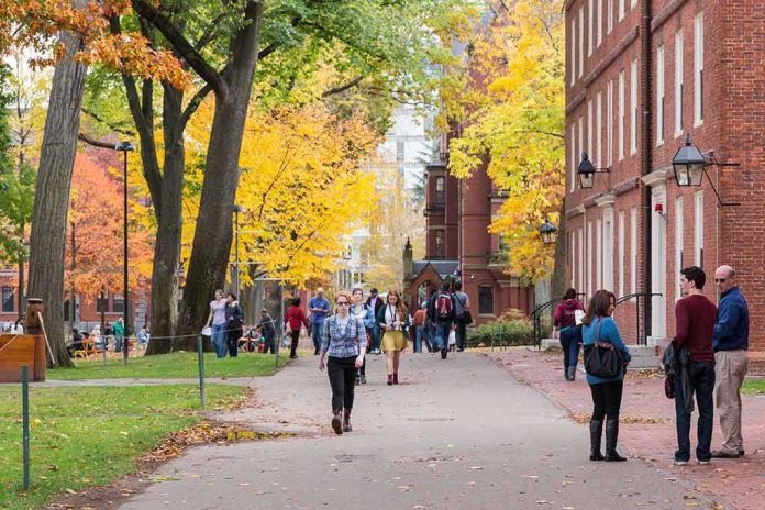 shutterstock_193437935-1 Students walking through a leafy campus path in autumn