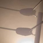 Fought For A Title, Dead A Day Later. Nobody Has Said WHY Boxing ring corner ropes in hazy light