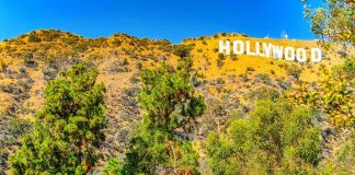 Hollywood Cash FLOODS Senate Battle Hollywood Sign on a sunny hillside above green trees