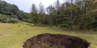 She Was In Her Own Backyard — Then 8 Feet Of Ground OPENED Up Large sinkhole in a grassy field near a forest