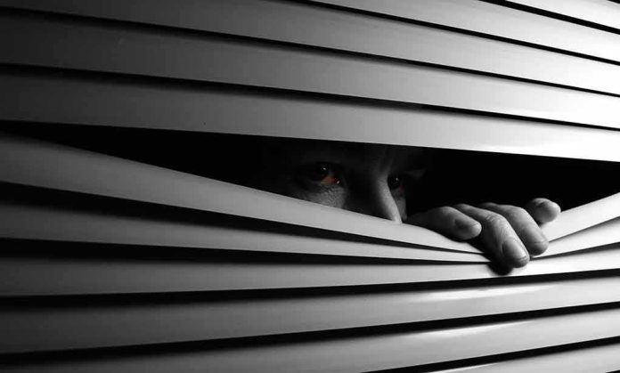 shutterstock_588893543-1 person peeking through window blinds