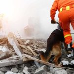 Buried 10 Days — She WAS ALIVE! rescue worker with dog searching rubble