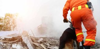 Buried 10 Days — She WAS ALIVE! rescue worker with dog searching rubble