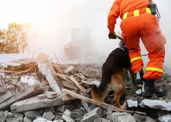 shutterstock_607347791 rescue worker with dog searching rubble