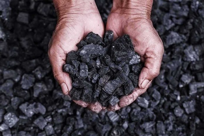 shutterstock_773326039 Hands holding a pile of charcoal pieces