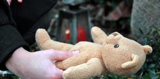 Gunman KILLED Little Kids — Look WHO They Were To Him Hands holding a teddy bear near a grave