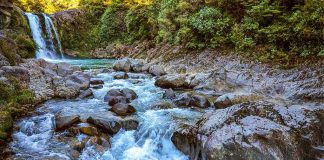 Elderly Woman Fell 100 Feet ALONE River cascade flowing over rocks below a small waterfall in a forest