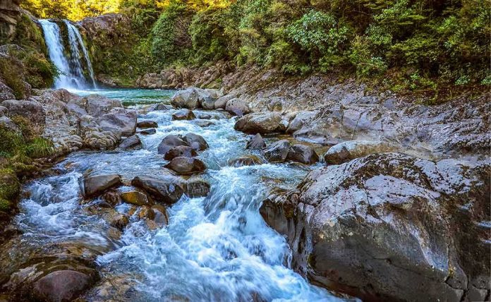 River cascade flowing over rocks below a small waterfall in a forest